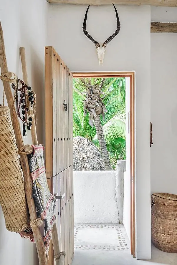 Holbox Island Casa Impala Apartment