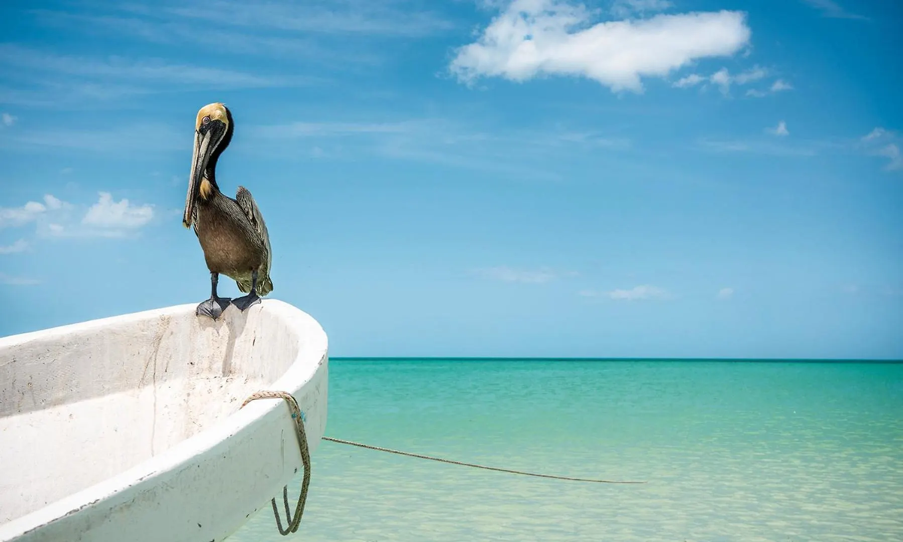 Holbox Island Casa Impala Apartment 0*, Isla Holbox Mexico